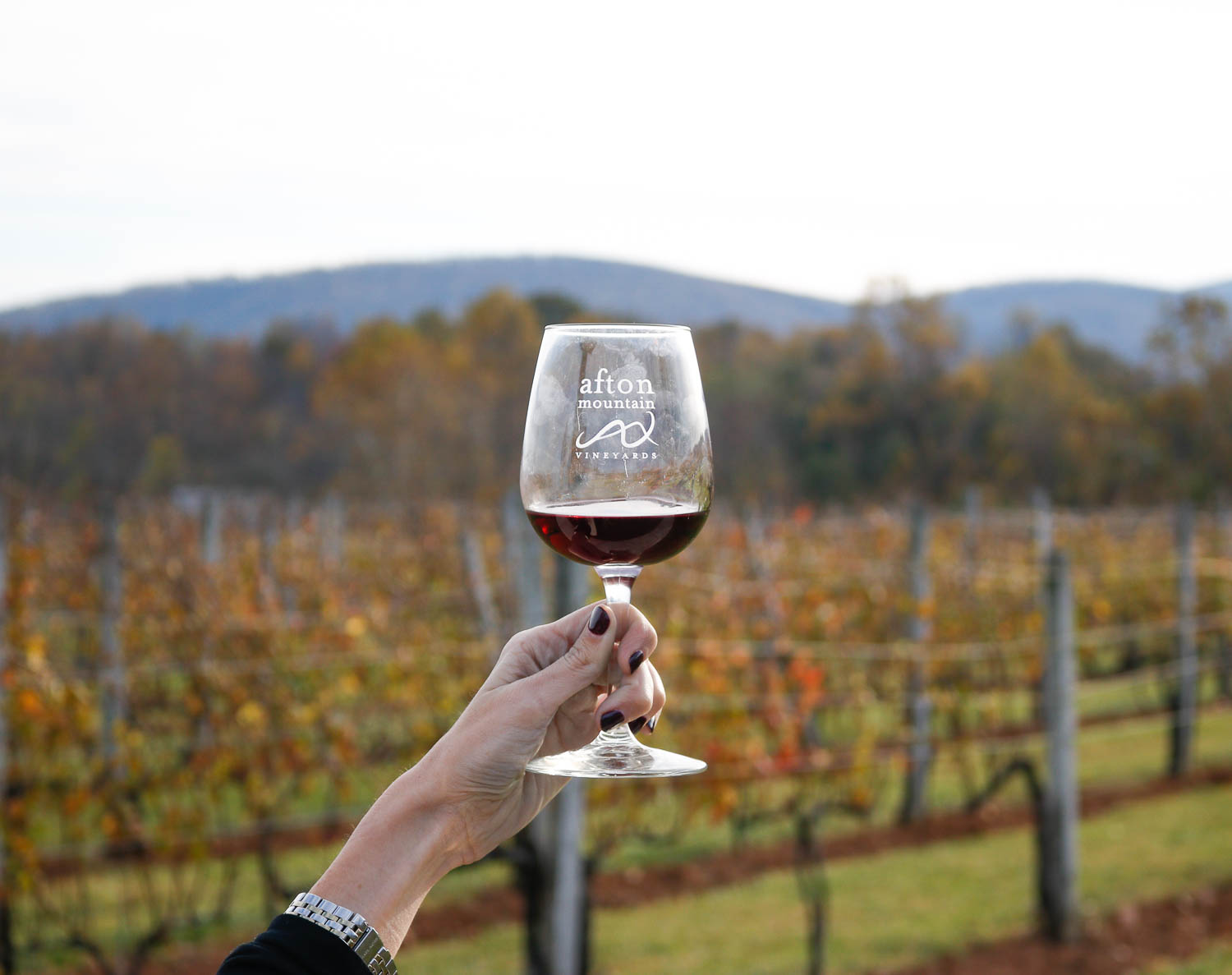 Afton Mountain Vineyards | Charlottesville, Virginia Weekend Guide | Cobalt Chronicles 