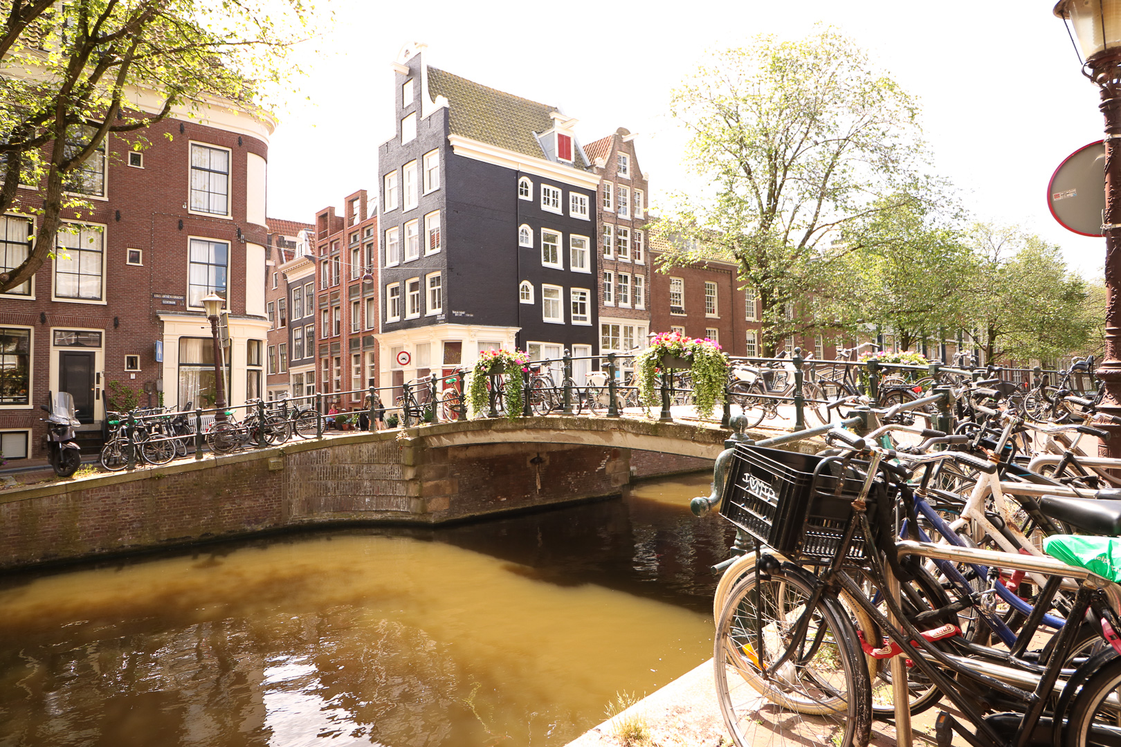 Amsterdam City Guide | Cobalt Chronicles | Washington, DC | Travel Blogger 