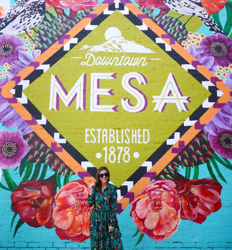 6 Fun Things to Do in Mesa, AZ | Cobalt Chronicles | Houston Travel Blogger