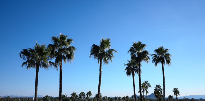 The Phoenician Resort Scottsdale, AZ | Cobalt Chronicles | Houston Travel Blogger